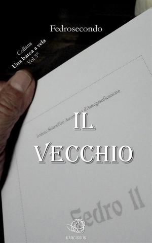 Book cover of Il vecchio