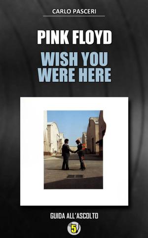 Cover of Pink Floyd - Wish You Were Here (Dischi da leggere)