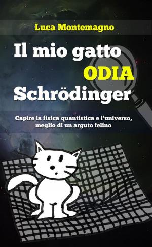 Cover of the book Il mio gatto odia Schrodinger by John David Hanna