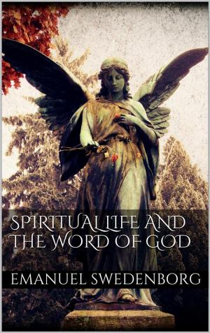 Cover of the book Spiritual Life and the Word of God by Rick Strassman, M.D.