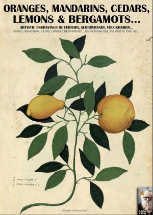 Cover of the book Oranges, mandarins, cedars, lemons & bergamots... by Jacopo Pili