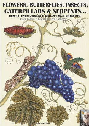 Cover of the book Flowers, butterflies, insects, caterpillars and serpents... by Aleksandr Vasilevich Viskovatov