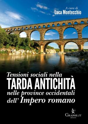 Cover of the book Tensioni sociali nella Tarda Antichità nelle province occidentali dell’Impero romano by Monache Carmelitane di Carpineto Romano
