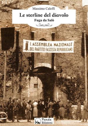 Cover of the book Le sterline del diavolo by Paolo Rumor