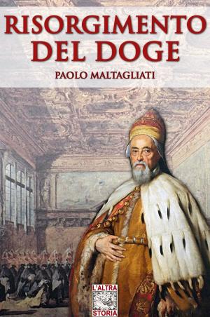 Cover of the book Risorgimento del Doge by Giulio Mollica