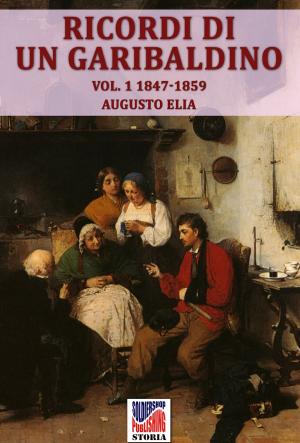 Book cover of Ricordi di un garibaldino dal 1847-48 al 1900 vol. 1