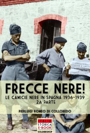 Cover of the book Frecce Nere! II by Massimiliano Paleari