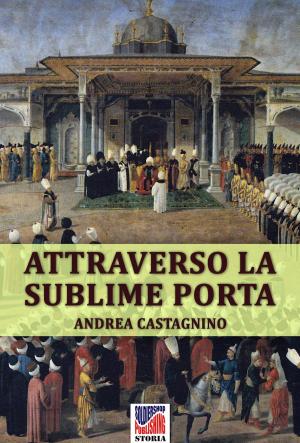 Cover of Attraverso la Sublime Porta