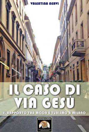Book cover of Il caso di Via Gesù