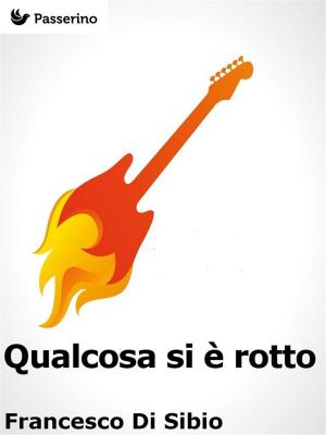 Cover of the book Qualcosa si è rotto by Marcello Colozzo