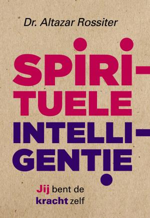 Cover of the book Spirituele intelligentie by Sandra Berg