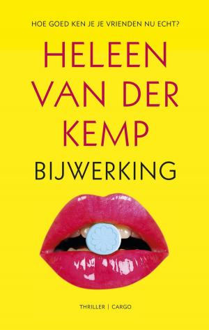 Cover of the book Bijwerking by Remco Campert