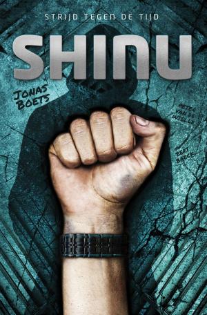 Cover of the book Shinu by Brandon Mull, Garth Nix, Sean Williams