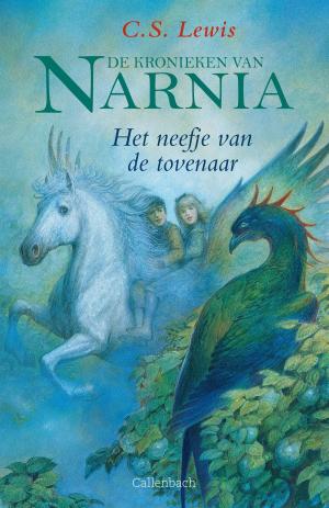 Cover of the book Het neefje van de tovenaar by Olga van der Meer