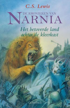 Cover of the book Het betoverde land achter de kleerkast by Ted Dekker