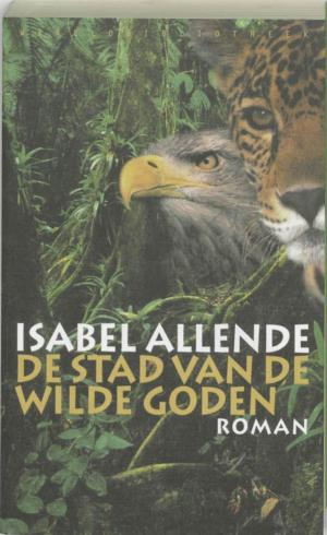 Cover of the book De stad van de wilde goden by Elena Ferrante