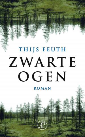 Cover of the book Zwarte ogen by Elisabeth Mollema