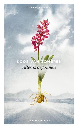 Cover of the book Alles is begonnen by Charlie de Keersmaecker, Annelies Verbeke
