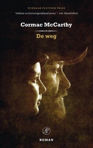 Cover of the book De weg by Vrouwkje Tuinman