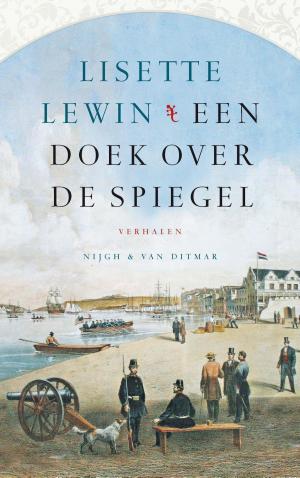 Cover of the book Een doek over de spiegel by Heere Heeresma