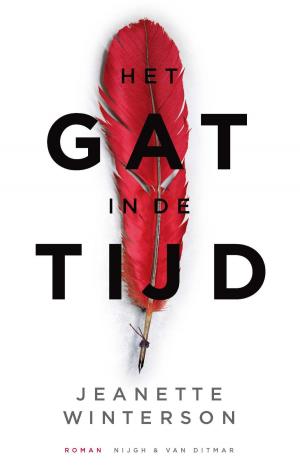 Cover of the book Het gat in de tijd by Thomas Erikson