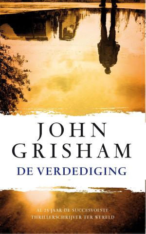 Cover of the book De verdediging by Julian Fellowes