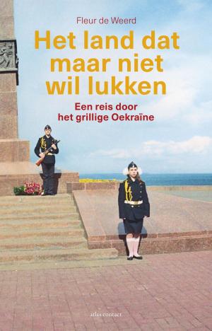 Cover of the book Het land dat maar niet wil lukken by V.S. Naipaul