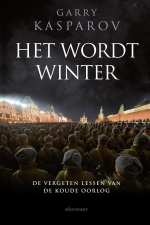 Cover of the book Het wordt winter by Margot Vanderstraeten