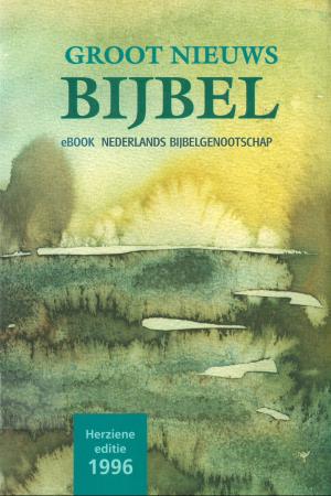 Cover of the book Groot Nieuws Bijbel by Kristi Burchfiel