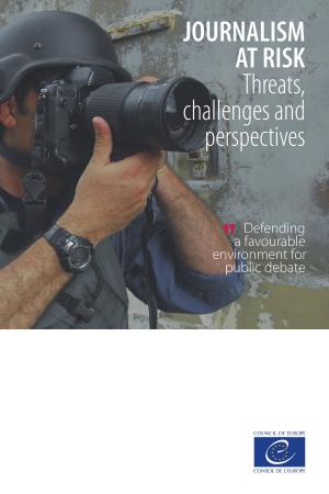 Cover of the book Journalism at risk by Jean-Claude Beacco, Michael Byram, Marisa Cavalli, Daniel Coste, Mirjam Egli Cuenat, Francis Goullier, Johanna Panthier