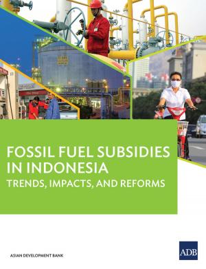Book cover of Fossil Fuel Subsidies in Indonesia