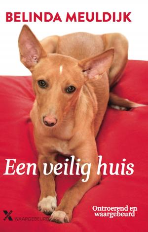 Cover of the book Een veilig huis by Jeroen Siebelink