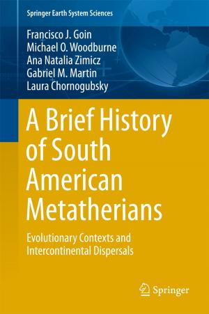 Book cover of A Brief History of South American Metatherians