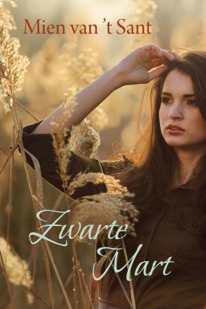 Cover of the book Zwarte Mart by Erin Watt