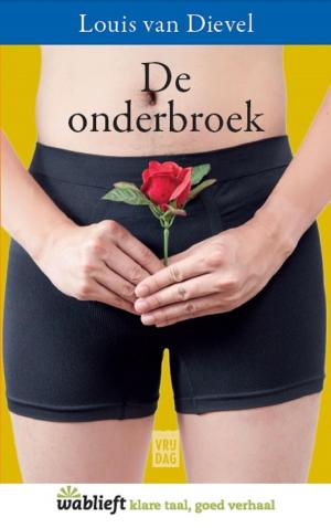 Cover of the book De onderbroek by Kris Van Steenberge