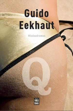Book cover of Q