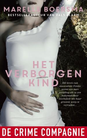 Cover of the book Het verborgen kind by Marelle Boersma