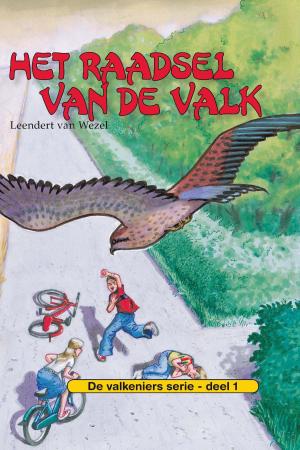 Cover of the book Het raadsel van de valk by Geesje Vogelaar- van Mourik