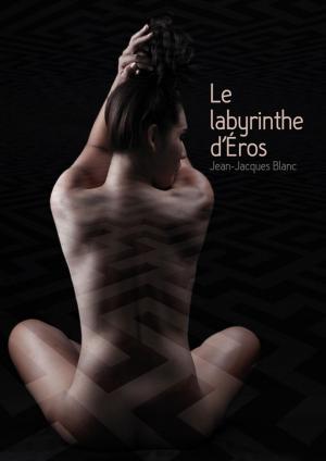 Cover of the book Le labyrinthe d'Éros by Nathalie Girard