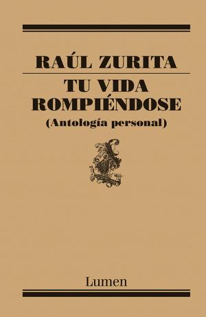 Cover of the book Tu vida rompiéndose by Ricardo Lagos