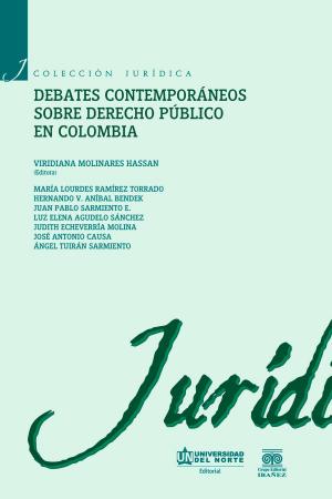 Cover of the book Debates contemporáneos de Derecho Público en Colombia by Alfredo Correa de Andrés, Jorge Palacio Sañudo, Sandro Jiménez Ocampo, Margarita Rosa Díaz Benjumea
