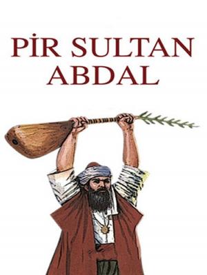 Cover of the book Bütün Şiirleri by TruthBeTold Ministry