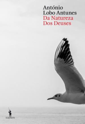 Cover of the book Da Natureza dos Deuses by Lídia Jorge