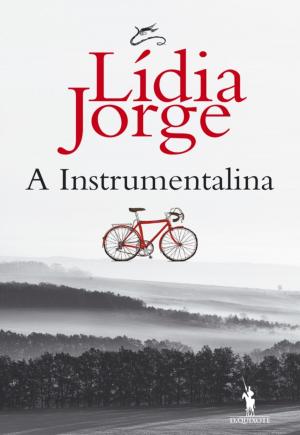 Cover of the book A Instrumentalina by Miguel de Cervantes
