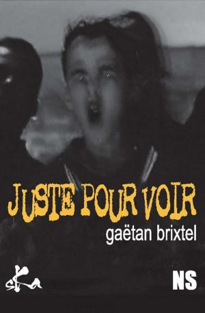 Cover of the book Juste pour voir by Isidore Lelonz
