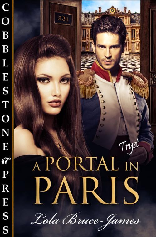 Cover of the book A Portal in Paris by Lola Bruce-James, Cobblestone Press