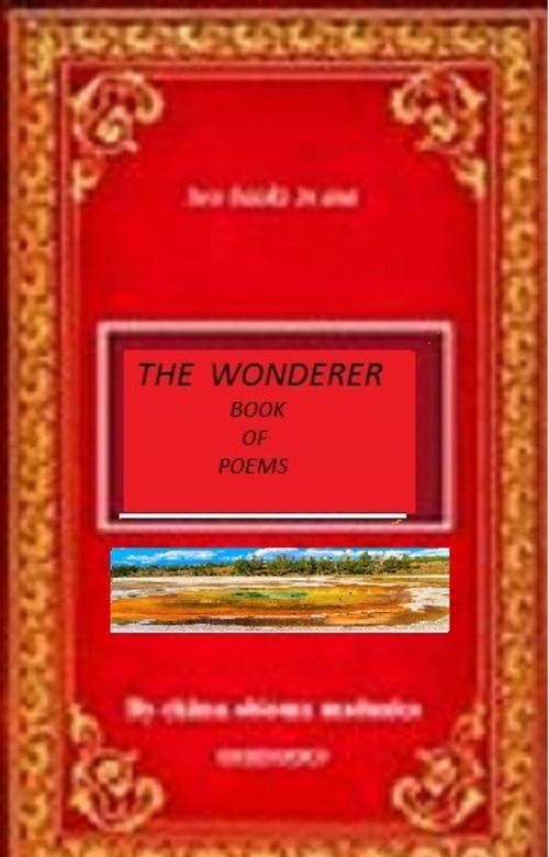 Cover of the book the wonderer by chima obioma maduako, greenhorn