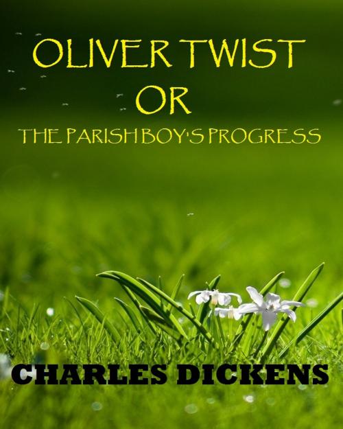 Cover of the book Oliver Twist by Charles Dickens, Variety Books