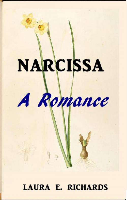 Cover of the book Narcissa by Laura E. Richards, Green Bird Press