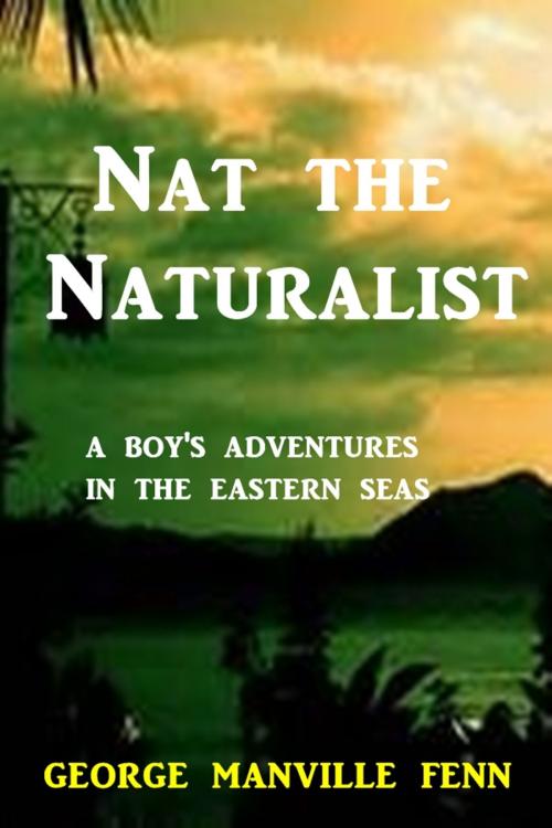 Cover of the book Nat the Naturalist by George Manville Fenn, Green Bird Press
